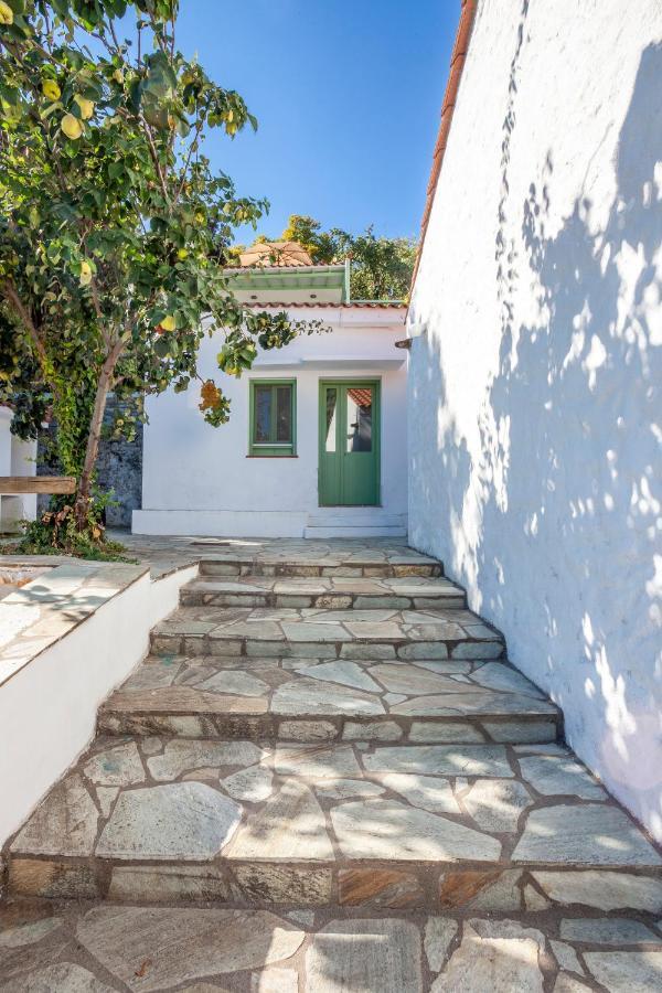 Olea Skopelos Villas With Swimming Pools & Sea View Panormos  Exterior photo