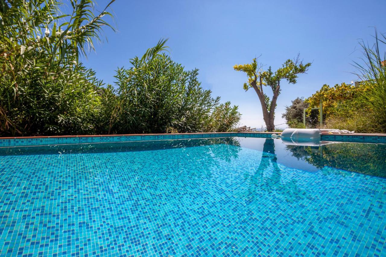 Olea Skopelos Villas With Swimming Pools & Sea View Panormos  Exterior photo